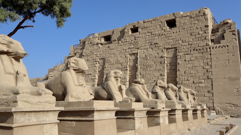 古代エジプトと動物の深い関係とは？神聖視された生きもの・暮らし・信仰をわかりやすく解説