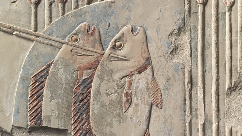 古代エジプトで魚はどう食べられた？ナイル川と暮らしからわかる歴史と文化の話