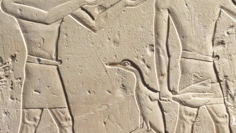古代エジプトで魚はどう食べられた？ナイル川と暮らしからわかる歴史と文化の話